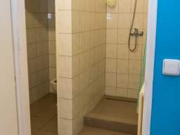 Oddělení 12